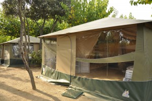 Tent Camping Tucan