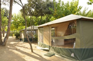 Tent Camping Tucan