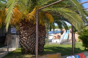 Camping Tucan - Lloret de Mar